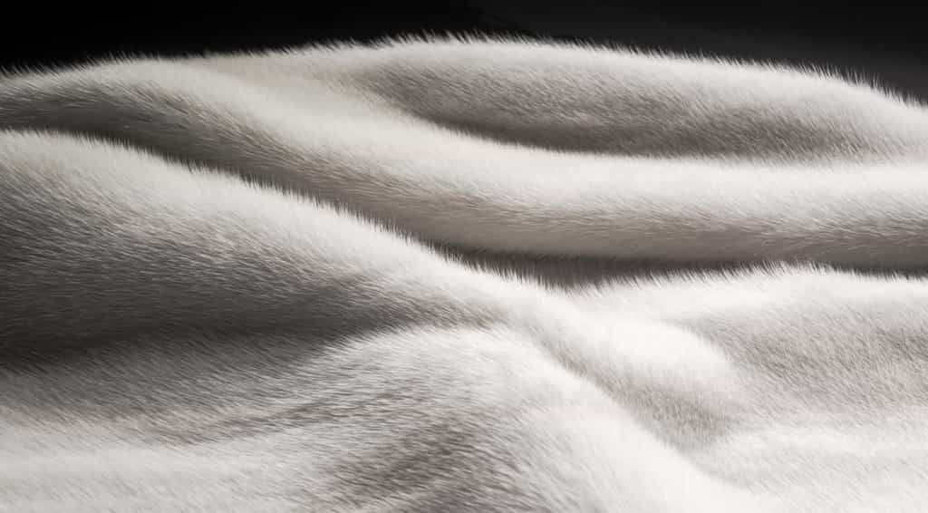 How to Clean and Care for Natural Fur Clothing NordFur